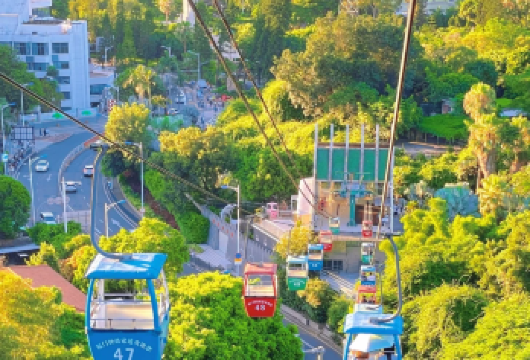 【新春特惠】钟鼓索道+植物园一日游【[品质承诺]：钟鼓索道保证有票，保证乘坐！！超过70岁以上老人无法乘坐索道，敬请谅解！！】