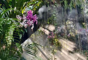 厦门园林植物园+南普陀+厦门大学自由行【全程经典景点，校园文艺，雨林仙境、阳光植物园】