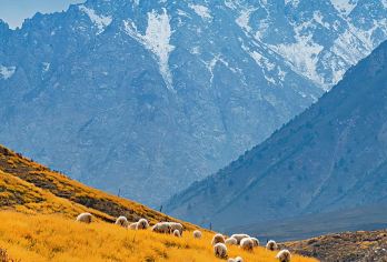 张掖马蹄寺+金塔寺一日游【金塔寺沿途·走走停停·小车团】【[出行无忧]市区内所有酒店上门免费接送，景区畅玩一整天，沉浸式体验，让每一位客人出行更加舒心】