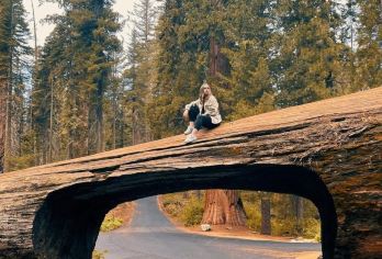 美国旧金山往返优胜美地+美洲杉-两-日或三-日多日包车-精选【专属客服和本地中文司机，一家一团包车】