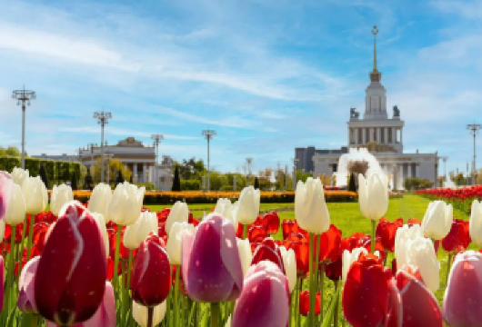 俄罗斯莫斯科谢列梅捷沃国际机场-市区-专车接/送机点对点直达【专业本地司机，贴心服务，无需换乘，直接抵达酒店或指定地点，省时省力。】