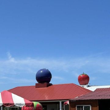 美国+芝加哥360观景台+千禧公园一日游/行程可调-随性而行