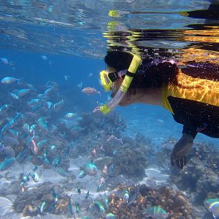 海南分界洲岛鳐鱼互动浮潜户外玩海一日游【一价全包 鳐鱼浮潜买一送