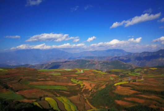 昆明出发东川红土地私家探险之旅——见证大自然的杰作【与跟团游不同，这次私人旅行可让您自由定制行程，在景点停留更长时间，避免匆忙赶路。 从您的私人导游那里深入了解该地区的地理、文化和历史，让您的旅程既富有教育意义又令人难忘 五彩斑斓的田野为摄影提供了理想背景。无论您是专业摄影师还是业余爱好者，处处都能捕捉到完美画面。】