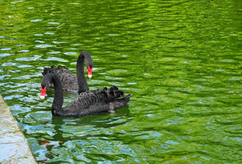 厦门大学代预约+电子导览图【[特别说明]厦门大学是免费参观的，本产品仅提供厦门大学预约服务，不保证成功，预约失败会全额退款！】