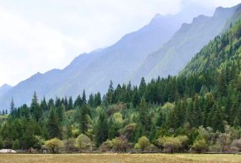 【成都往返】四姑娘山纯玩一日游|可选双桥沟或长坪沟【[忠于承诺]：100%真纯玩，全程0购物】