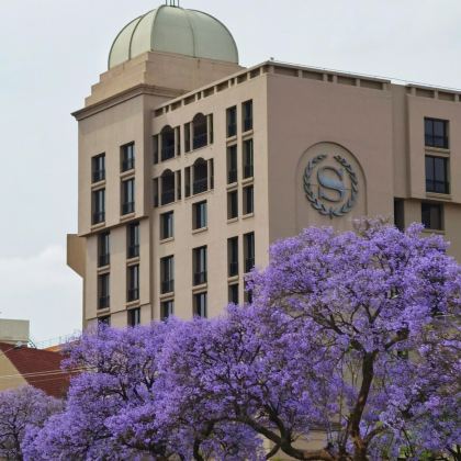 南非&比勒陀利亚一日游【首都经典地标漫游线】