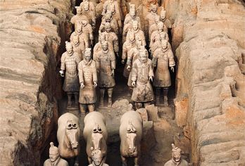 【镇馆之宝·铜车马】兵马俑+丽山园一日游【[独立发团]无强制消费，无购物，自有车队】