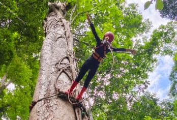 西双版纳景洪基诺山雨林徒步包车一日游【不用拼车，专享包车自由出行!】