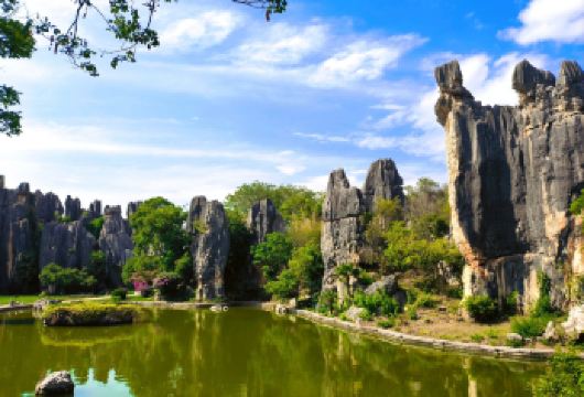 【臻享纯玩】昆明滇池+石林一日游｜可选纯玩包车服务【一日游览昆明5A级核心景点，石林门票130元，可选15人小团，让您物超所值;】