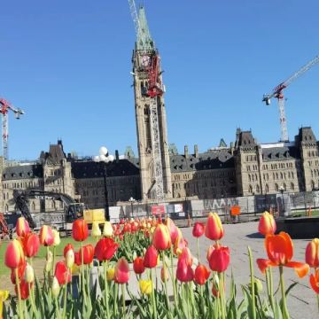 加拿大+渥太华市区经典一日游/-行程可调-可定制