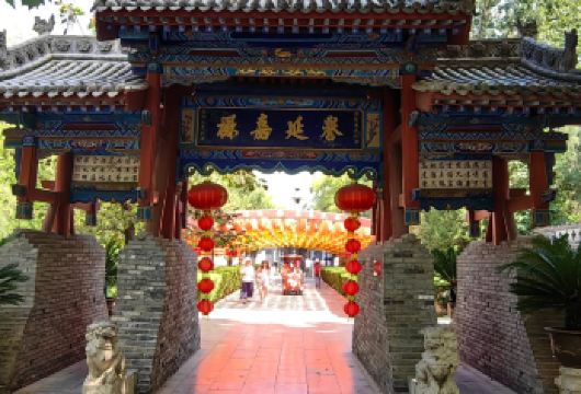 大槐树半日游【2-10人团+深度讲解】【无购物】