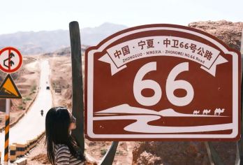 【包车自由行】宁夏景点随心配・解锁塞上秘境之旅【自由搭配：从镇北堡西部影城、西夏王陵、贺兰山岩画等历史人文景点，到沙坡头、腾格里沙漠、沙湖等自然奇观】