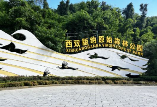 【店铺主页先领红包再下单】野象谷+西双版纳原始森林公园一日游【专注服务 用心接待好每一位游客】