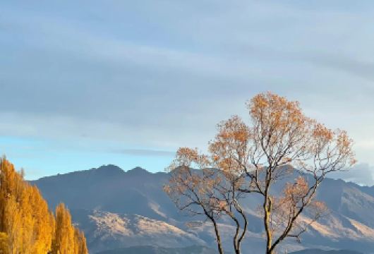 新西兰皇后镇往返格林诺奇+箭镇+水果小镇一日游【中文小团】【中文小团，一对一专属中文客服，品质有保障】