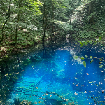 青森往返：白神山地十二湖 + 千叠敷海岸（不含门票）