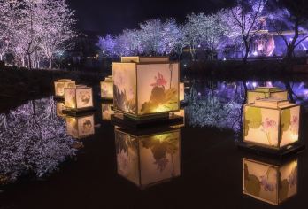 无锡禅意小镇·拈花湾一日游【赏拈花湾日夜游】【摆脱俗世的喧嚣和纷争，净雅禅境，日赏禅意小镇，夜赏水幕灯光秀，让心灵度个假！】