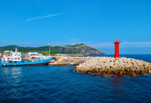 【牛岛含上岛】济州岛牛岛东线纯玩一日游/春节不加价/市区可接【[服务升级]携程挂牌产品，保证空座率，赠送矿泉水，免费使用共享充电宝、雨衣雨伞】