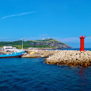 【牛岛含上岛】济州岛牛岛东线纯玩一日游/一人可订/市区可接