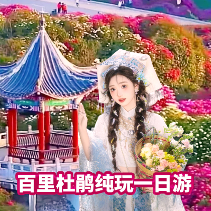 百里杜鹃一日游%踏春季+杜鹃王国+安心游