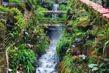 婺源篁岭一日游（屯溪市区各酒店接站）全程纯玩，不进购物店【全程纯玩，不进购物店】