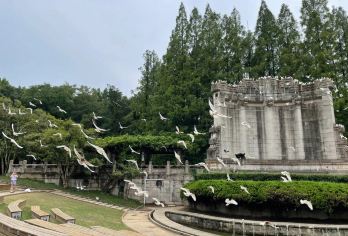 钟山风景区系列景点讲解/可按需选择要讲解的景点【这几个景点集中分布，徒步或乘坐景交车可达，参观体验和效率很高。】