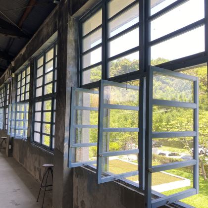 活泉足体养身世界＆慈湖＆大溪老茶厂一日游