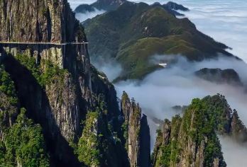 郴州莽山五指峰景区一日游（2-6人小团）【天天发班，市区内小车上门接送】