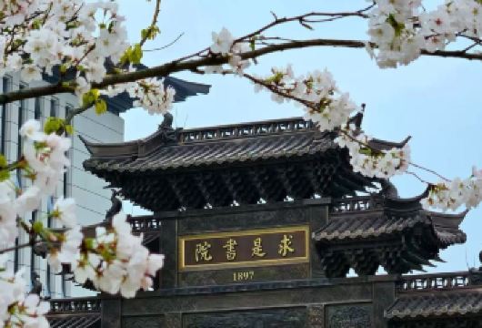 杭州浙江大学一日·名校参观研学，浙大学长亲带队·可选上下午场【[专业讲解]邀请浙江大学优秀学子，带领参观校园】