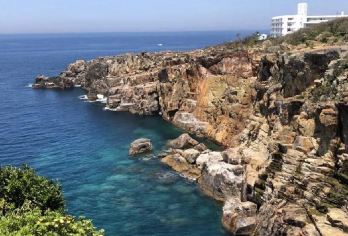 日本大阪+和歌山+白滨柯南同款一日游/行程可调-可定制多日【包车一日游，解锁旅行新方式！独立车辆配备经验丰富的老司机，为您量身打造专属行程。】