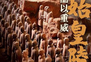 【镇馆之宝·铜车马】兵马俑+丽山园一日游【[独立发团]无强制消费，无购物，自有车队】