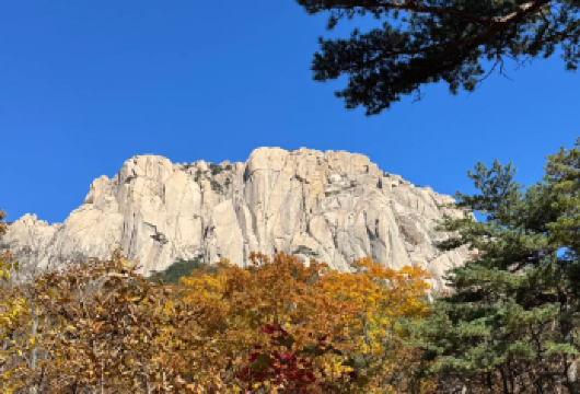 韩国首尔出发：雪岳山国立公园+洛山寺一日包车游【专业司导包车服务，轻松往返首尔与雪岳山，自由定制行程，省去转车烦恼】
