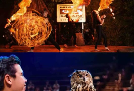 新加坡-鸭子船-水上探险乐园-夜间野生动物园【市区上门接送】【专属线上管家服务+当地华人司机，给您专业的服务保障】