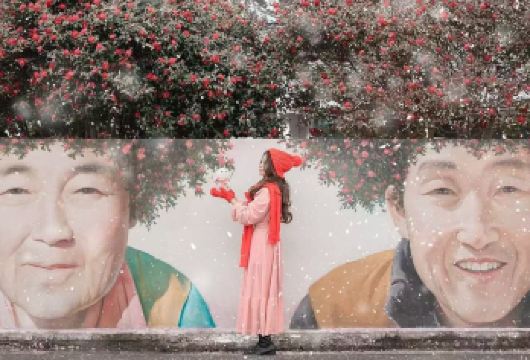 济州岛一日游｜西南线限时｜追海豚+汉拿山+小羊肖恩｜14人团【济州岛网红打卡：小羊肖恩羊驼牧场，柱状节理带，彩虹海岸公路，咸德海水浴场，牛岛，城山日出峰，涉地可支】