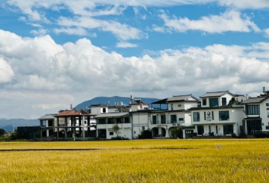 丽江-洱海-喜洲古城一日游【[品质保障]优选商品，品质拒绝购物】