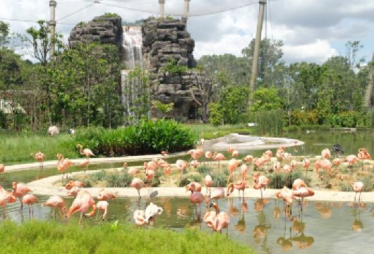 新加坡-跟着花少打卡新加坡【中文司机｜酒店接送】【专属线上管家服务+当地华人司机，给您专业的服务保障】