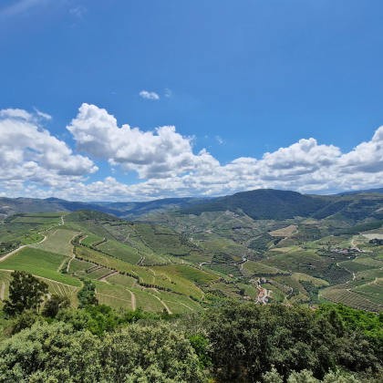 葡萄牙波尔图-杜罗河谷-皮尼扬-酒厂【中文专车-惬意舒适】