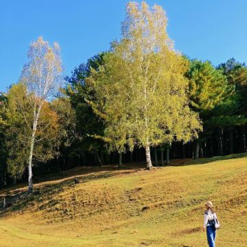 『2-8人拼小团』金山鹿苑+九峰养心谷一日游