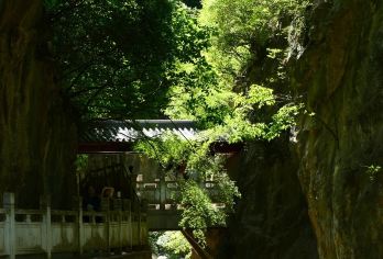 陇南往返成县西狭颂1日游【逛峡谷·赏汉字之美】
