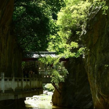 陇南往返成县西狭颂1日游