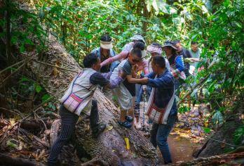 基诺山司土小寨雨林徒步一日游【丛林探险|刺激项目|一价全含】【精品小团|独立营地+优选土著向导+市区专车接送+雨林野餐】