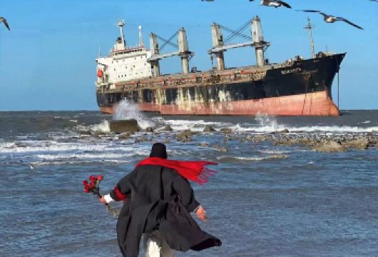 威海布鲁维斯【一站式打卡8大景点冬季特惠纯玩】+送双粮【不起早，不晚归，游玩时间充裕，送天鹅粮+海鸥粮】