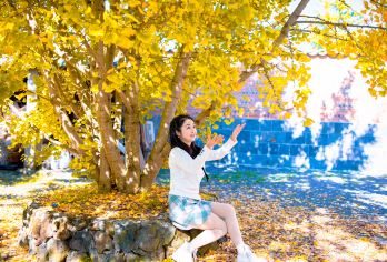 云南腾冲银杏村+火山地质公园一日游【热气球~银杏村旅拍】【[独立成团]金秋银杏，游火山看地质，银杏古村落拍照 打卡，不拼车。】