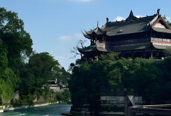 成都都江堰中华大熊猫苑+熊猫小匠研学体验基地+都江堰景区【可选英文导游|专车接送|行程可调|可定制行程】