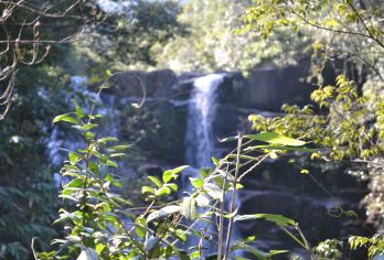 武夷山·打卡月亮湾+青龙大瀑布+武夷山公园风景1号线半日游【2-18人小团，纯玩，靠谱当地有经验司机师傅向导带您发现武夷山国家公园1号线未知的美；】
