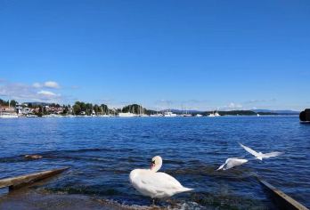 挪威奥斯陆阿克胡斯城堡&杜勒巴克老城【中文包车+行程定制】【尊享一对一高端行程定制，多日豪华包车专属礼遇，专业旅行顾问24小时恭候垂询。】