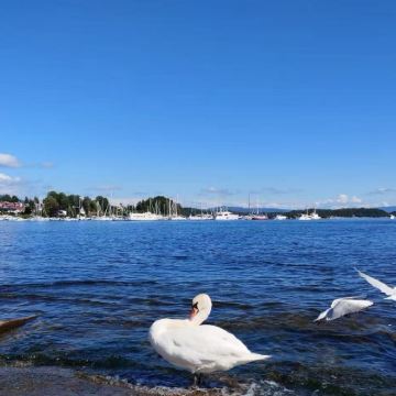 挪威奥斯陆阿克胡斯城堡&杜勒巴克老城【中文包车+行程定制】