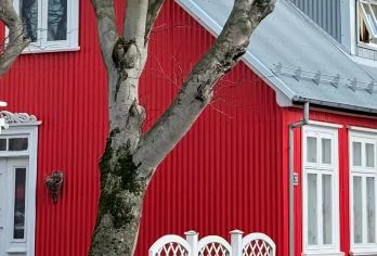 冰岛雷克雅未克+冰河湖+维克一日游/行程可调-可定制多日【包车一日游，解锁旅行新方式！独立车辆配备经验丰富的老司机，为您量身打造专属行程。】