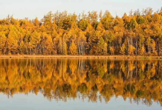 【上海-常熟往返】尚湖风景区+常熟文庙+燕园+兴福禅寺【全程私人专车服务，不拼团，行程灵活可调整。】