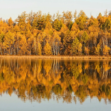 【上海-常熟往返】尚湖风景区+常熟文庙+燕园+兴福禅寺